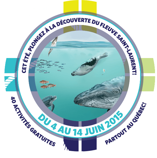 Logo : au milieu, dessin de qualité d'animaux marins, notamment une baleine et un phoque. 40 activités gratuites, partout au Québec !