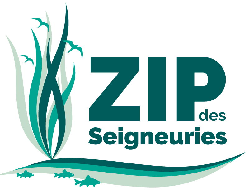 ZIPdS Logo CouleursSiteWebBasDePage